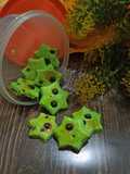 Pandan chocochip cookies