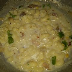 A picture of White sauce pasta.