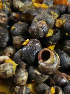 Foto resep Sea Snail Kuah Kuning