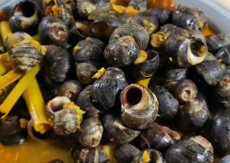 Resep Terbaru Sea Snail Kuah Kuning Enak Bergizi