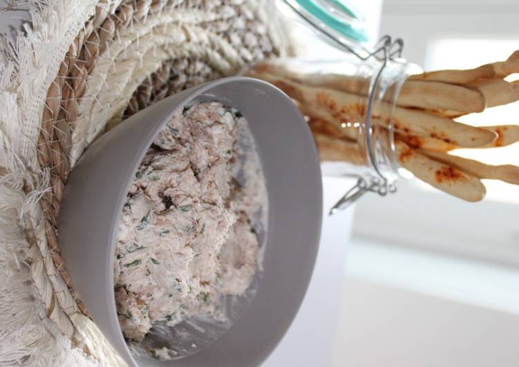 Les Meilleures Recettes de Tartinade de thon et ses gressins