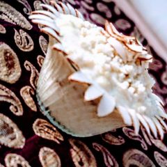 A picture of Rich badam kheer by Akshata Surve.