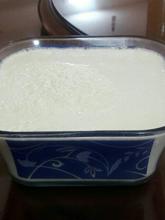 عکسی از دستور ماست خونگی