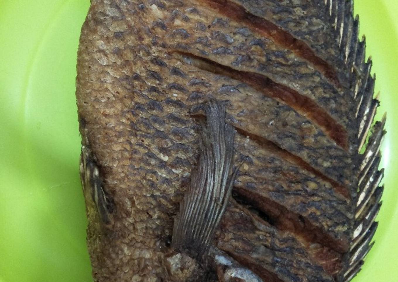 Fried fish
