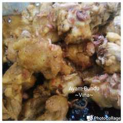 A picture of Ayam Bundu.
