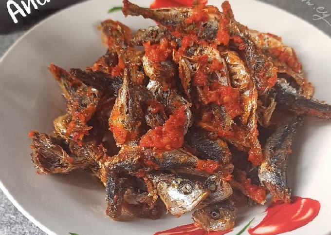 Anak Taneman Balado (Baby Tongkol Balado)