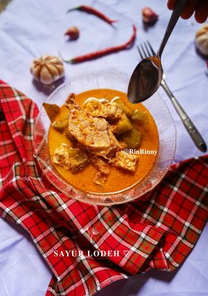 Foto resep Sayur Lodeh Terong Ayam