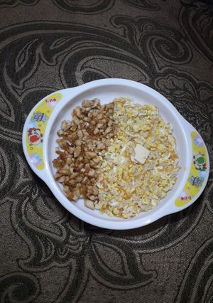 Foto resep Mpasi tim nasi wortel telur orek tahu