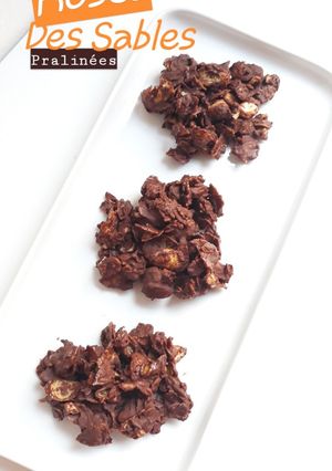 Une photo de ☆Roses des Sables☆