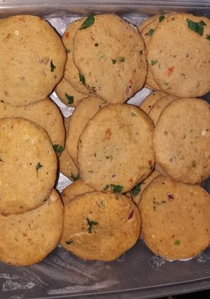 A picture of Chicken Frozen Shami Kabab.