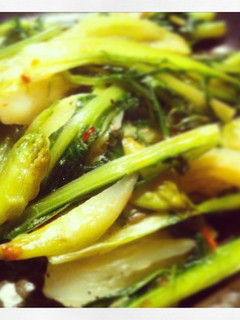 Una foto de Puntarelle a la Laura Romana (achicoria Catalogna)