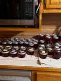 Purple Muscadine Jelly