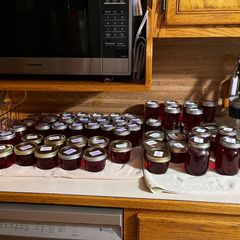 A picture of Purple Muscadine Jelly.