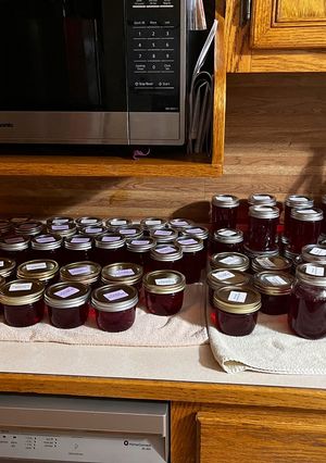 A picture of Purple Muscadine Jelly.