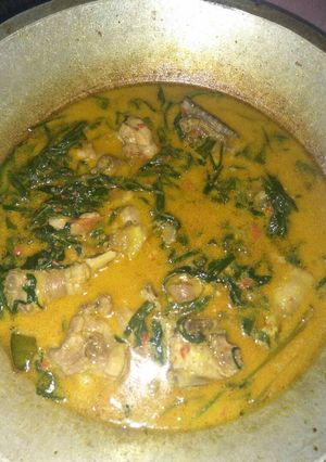 Foto resep Gulai ayam ples daun singkong kuah kuning