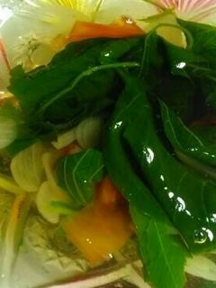 Foto resep Sayur bening bayam wortel