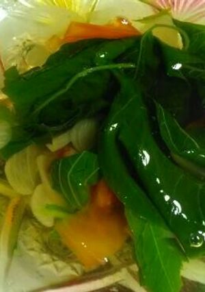 Foto resep Sayur bening bayam wortel