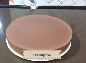 Una foto de Tarta de chocolate sin horno (con cuajada)