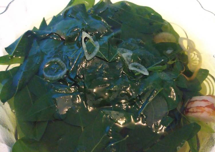 Resep Sayur bening daun katuk Anti Gagal