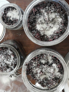 Foto resep Tape Ketan Hitam