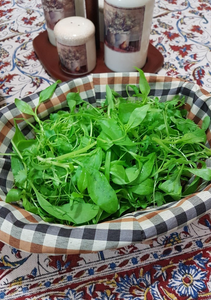 عکسی از دستور سبزی ارگانیک