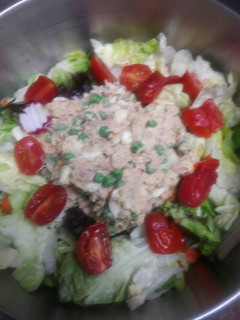 A picture of Several Salads in One.