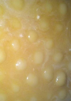 Foto resep Kolak Candil Kenyal