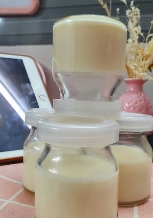 Hình của món Sữa chua úp ngược bằng nồi chiên không dầu.