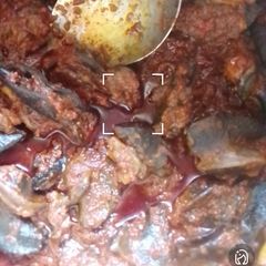 A picture of Snail soup🐌.