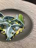 Blue Ravioli with Shrimp Tartare and Ricotta