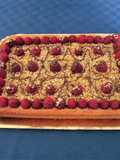 Nutella and Raspberry Cake