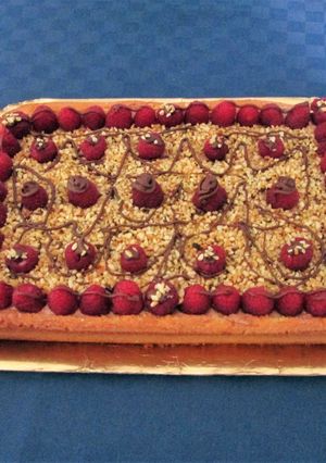 A picture of Nutella and Raspberry Cake.
