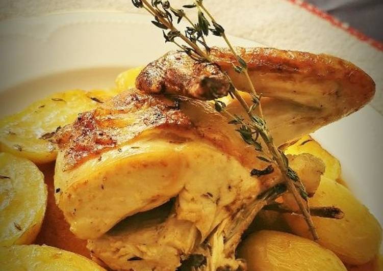Pollo rustido (o asado) al horno