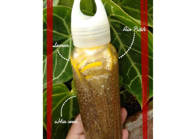 Cara Membuat AppetizingInfused Water Lemon