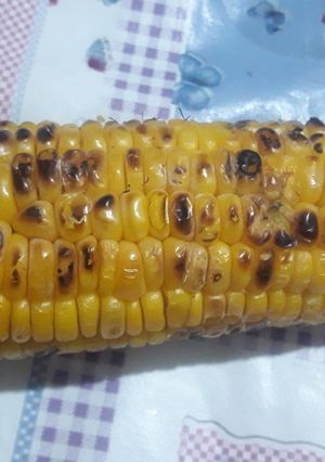 عکسی از دستور بلال