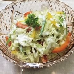 Coleslaw A picture of Coleslaw.