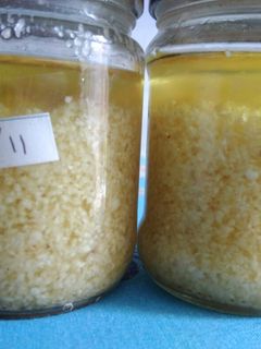 Foto resep Baceman bawang putih