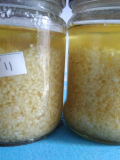 Foto resep Baceman bawang putih
