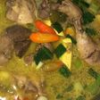 Opor ayam instan