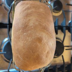 A picture of Great Whole Wheat Bread.
