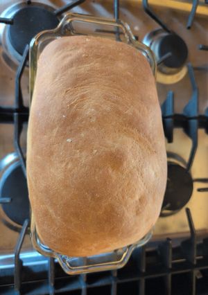 A picture of Great Whole Wheat Bread.