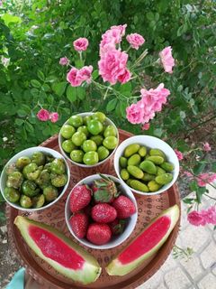 عکسی از دستور طالبی ژله و گوجه سبز خوشمزه