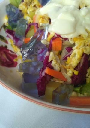 Foto resep Salad Pelangi Sehat Hemat