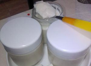 Foto principal de Yogur casero con leche de coco