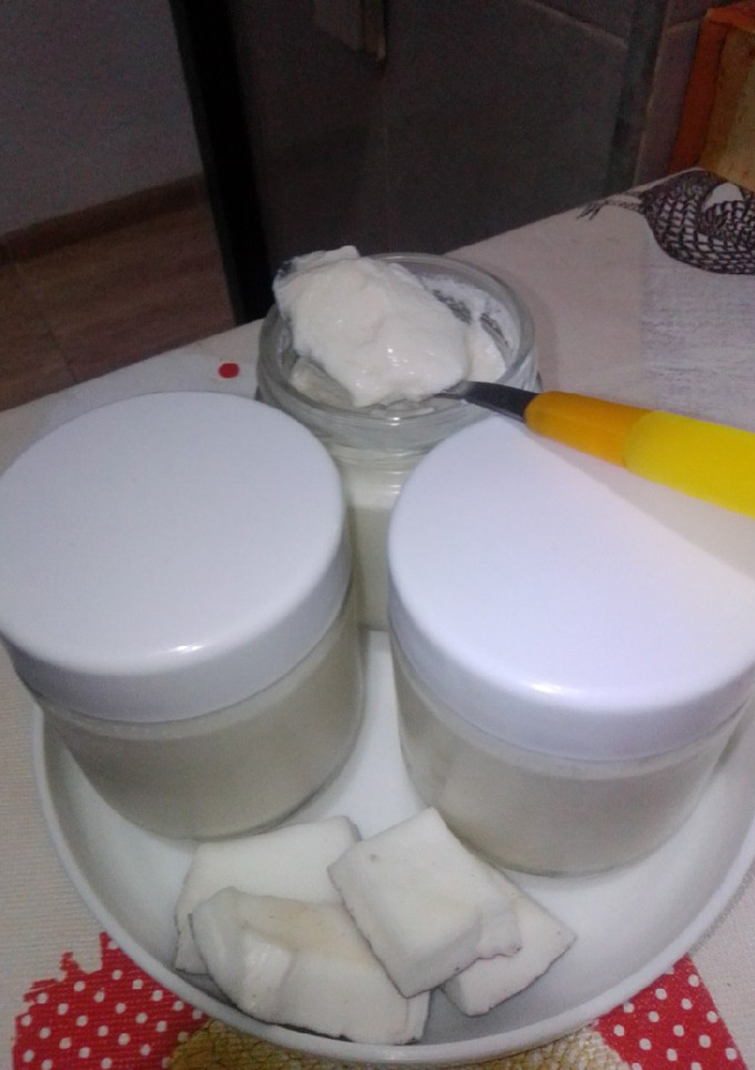 Una foto de Yogur casero con leche de coco