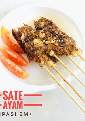Foto resep Mpasi 9m+ Sate Ayam