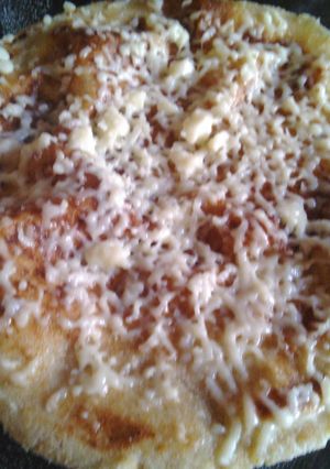 ચીઝ ભાખરી (Cheese Bhakhri Recipe In Gujarati) રેસીપી મુખ્ય ફોટો