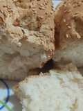 Pan lactal sin gluten