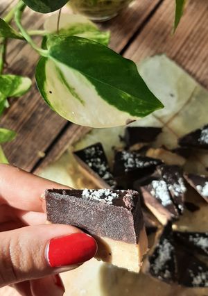 عکسی از دستور حلوا دورنگ