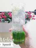 289. Melon Squash
